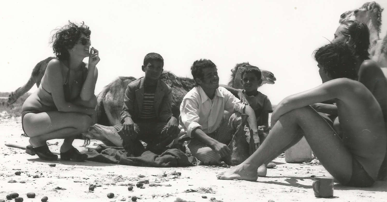 cammellieri e cammelli sahara