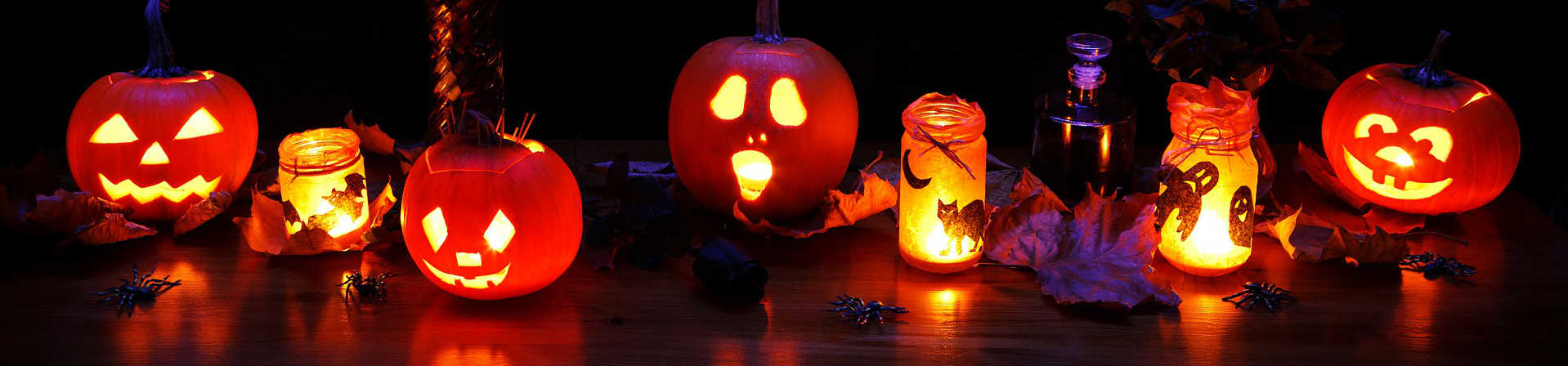 eds di halloween blog della donna camel