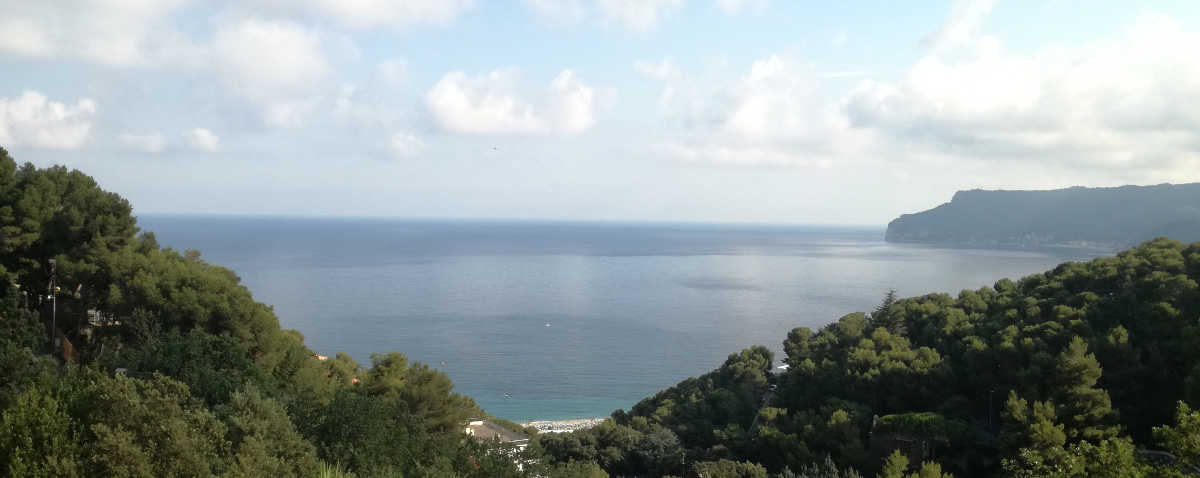 eds della prinz verde un esercizio di scrittura col cappello in testa