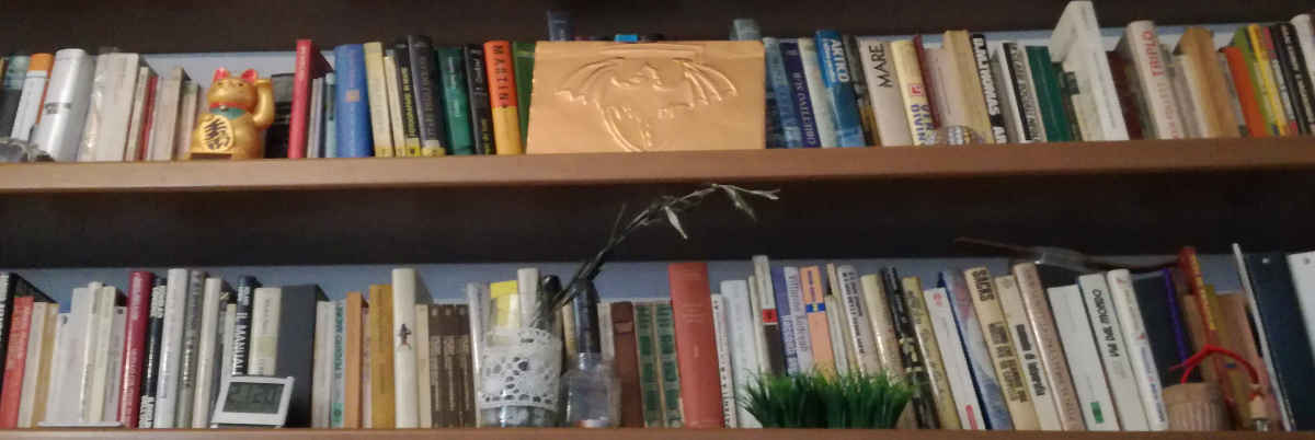 i libri sono un bene necessario