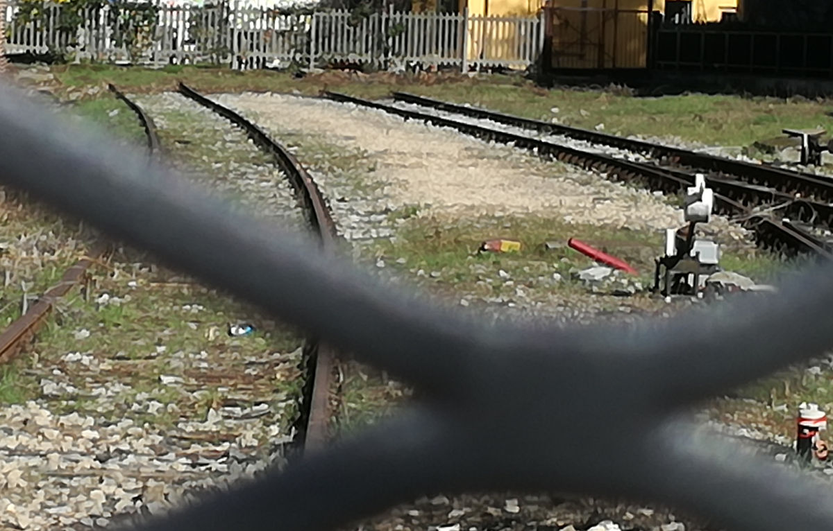 il signore della legna