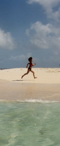 mario non corre, mario vola basso