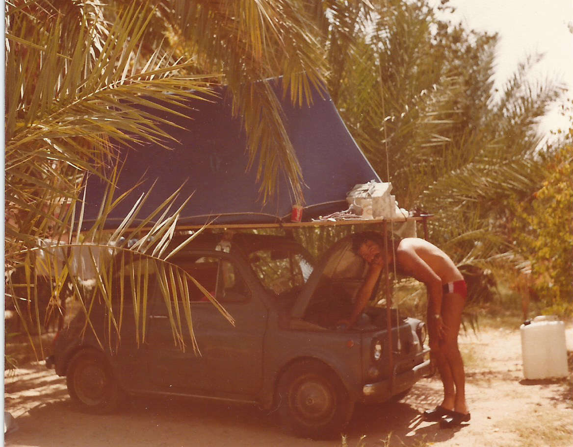 oasi el goleah sahara